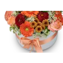 Box oranžových květin